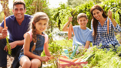families-nutrient-dense families-nutrient-dense
