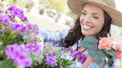 flower-gardeners fish fertilizer for vegetables