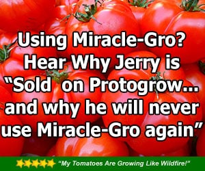 jerry-audio-testimonial jerry-audio-testimonial