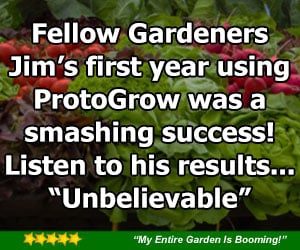 jim-audio-testimonial jim-audio-testimonial