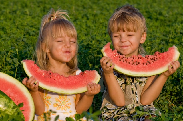 Little girl and boy with watermelon best fertilizers for lawns