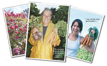 max-plant green fertilizer you spray