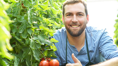 vegetable-gardeners vegetable-gardeners